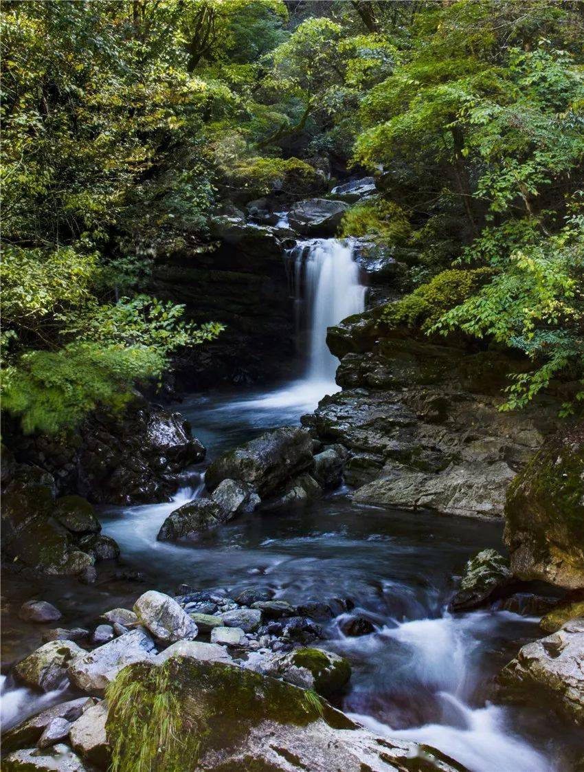 千层河包揽了全安康最美的彩叶,让你一次看个够!