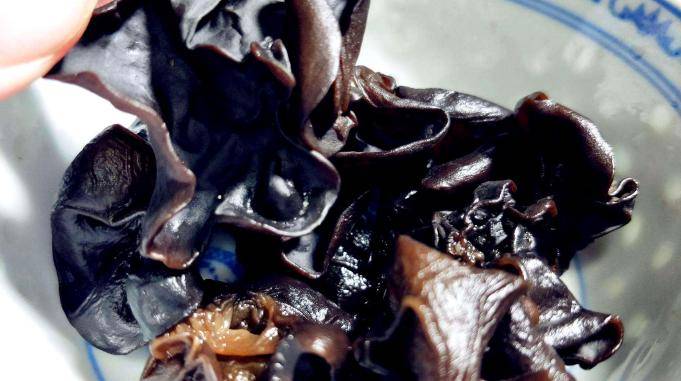 一家人吃炒木耳后中毒遇到毒木耳泡木耳时不要犯致命错误