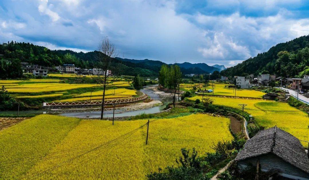 一不小心,秋日的洋溪已经美成了一幅画