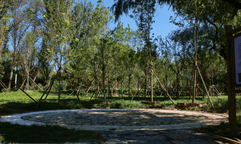 占地77亩,顺义又一城市森林公园将开放_生态