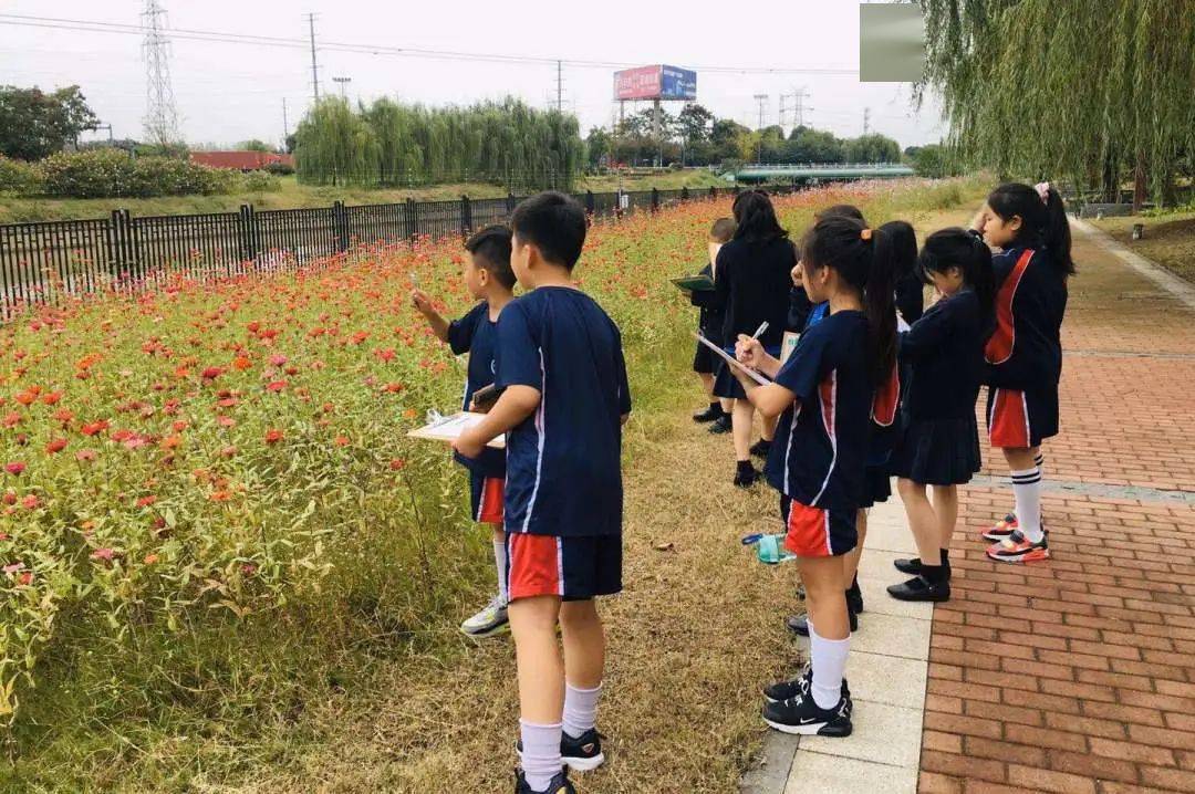 常州威雅公学小学部新闻周报wasczprimarynewsletter