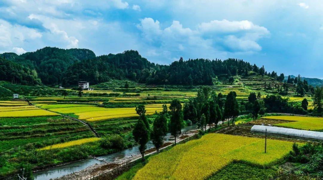 一不小心,秋日的洋溪已经美成了一幅画