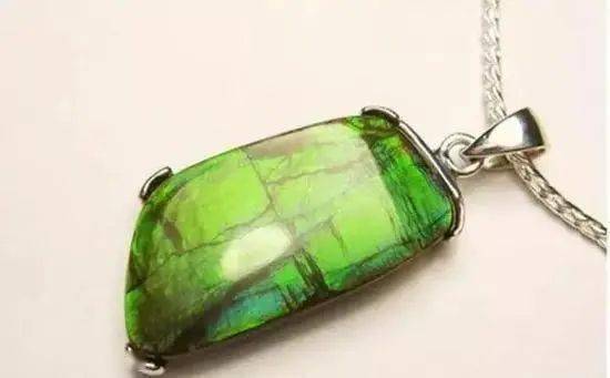 国与石大自然的油画加拿大国石彩斑菊石