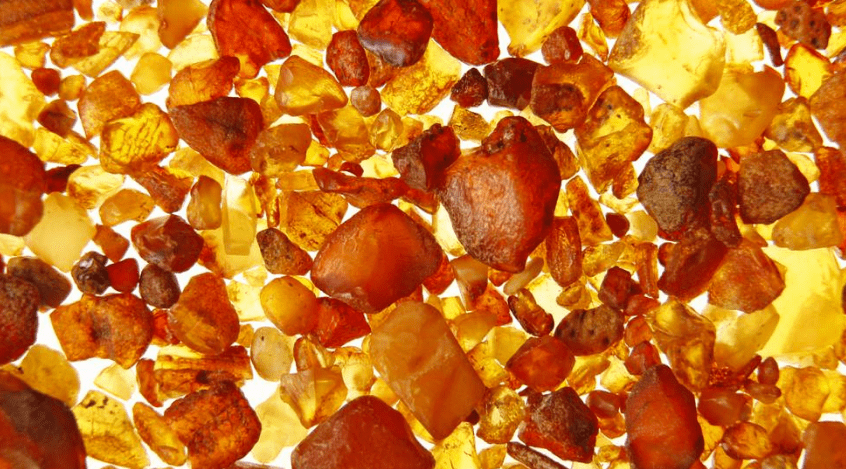 在奢侈品之中,琥珀是如此值钱_树脂