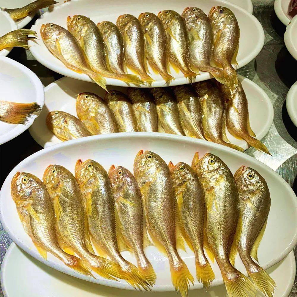 缘于其身形,头大尾短,童稚可爱,故名"梅童鱼",有些地方也叫它"大头宝"