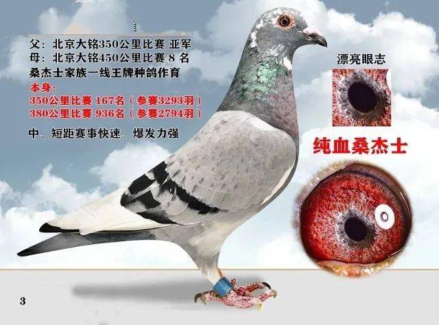 胡维奇因病去世看看他一手缔造的苍白传奇