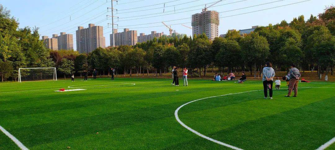 长垣新建一足球场,就在公园里