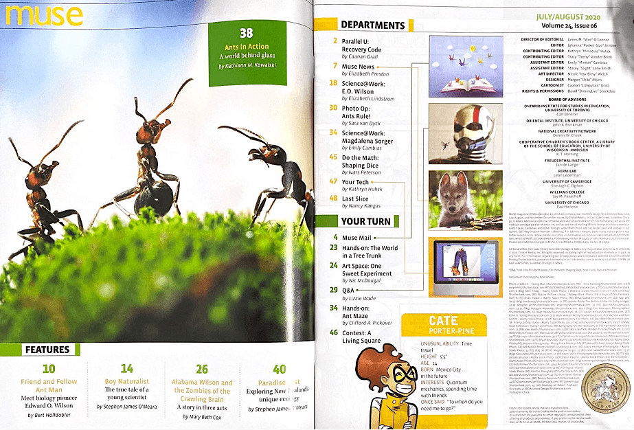 开团啦百年经典cricketmedia原版杂志限时抢购