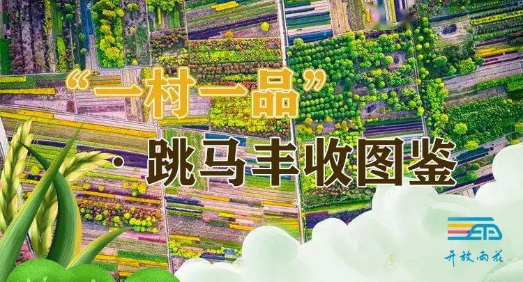 一村一品跳马丰收图鉴丨棵棵苗木绘就亿元村幸福画卷