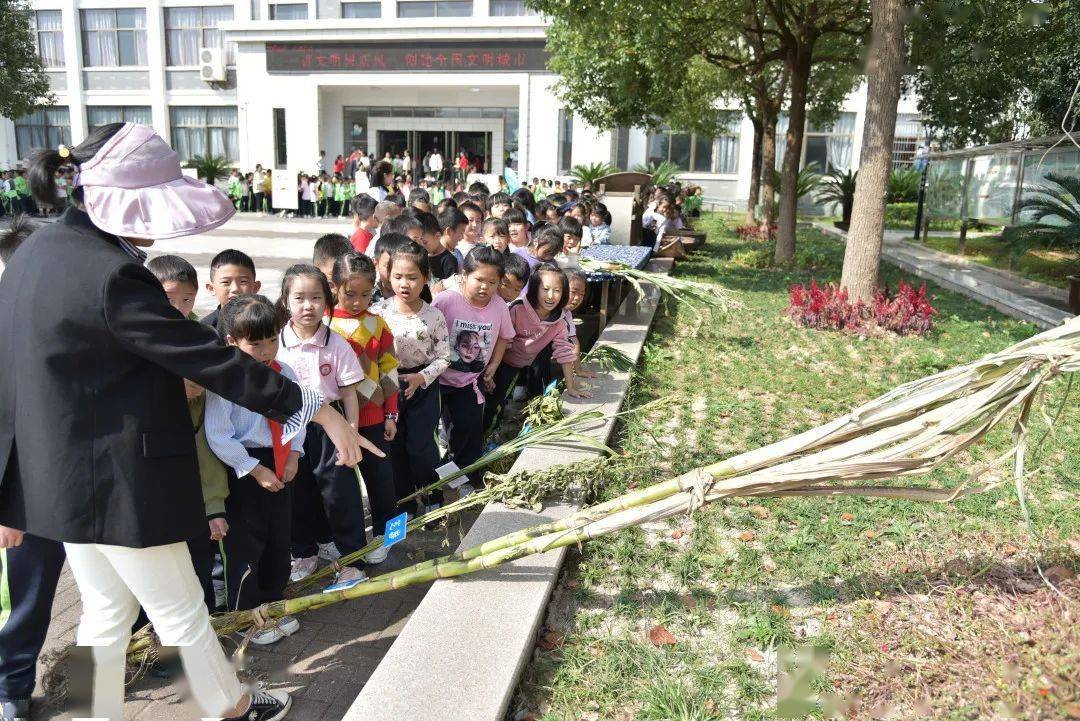 农耕研学乐享丰收苏溪镇第三小学校园丰收节