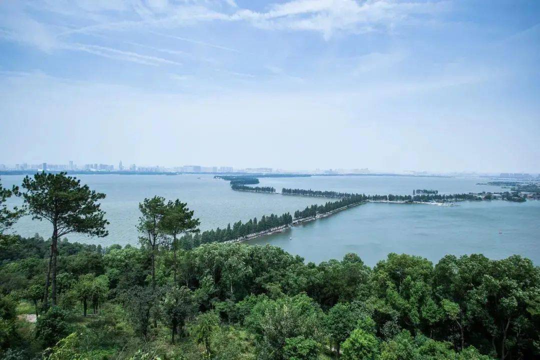 武汉杨春湖畔图片