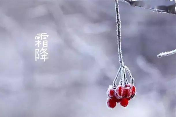 【莒南一小•二十四节气】霜降：草木摇露为霜，天寒莫忘添衣-搜狐大视野-搜狐新闻