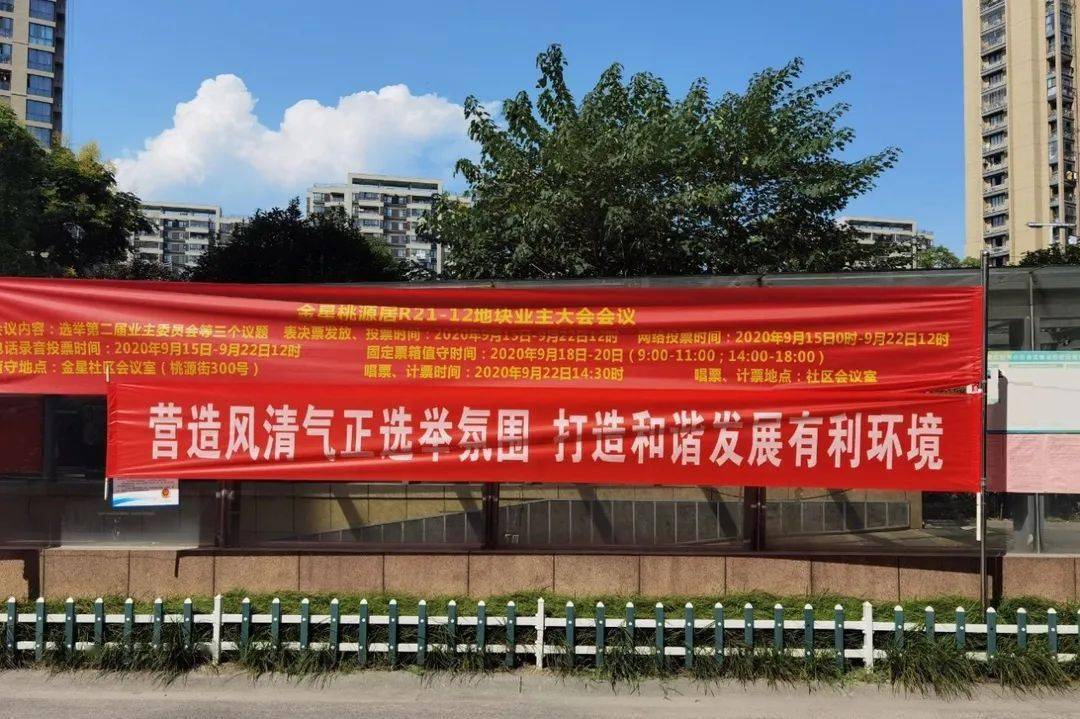 "法律明白人""法治带头人"奔走普法,为村社组织换届选举护航