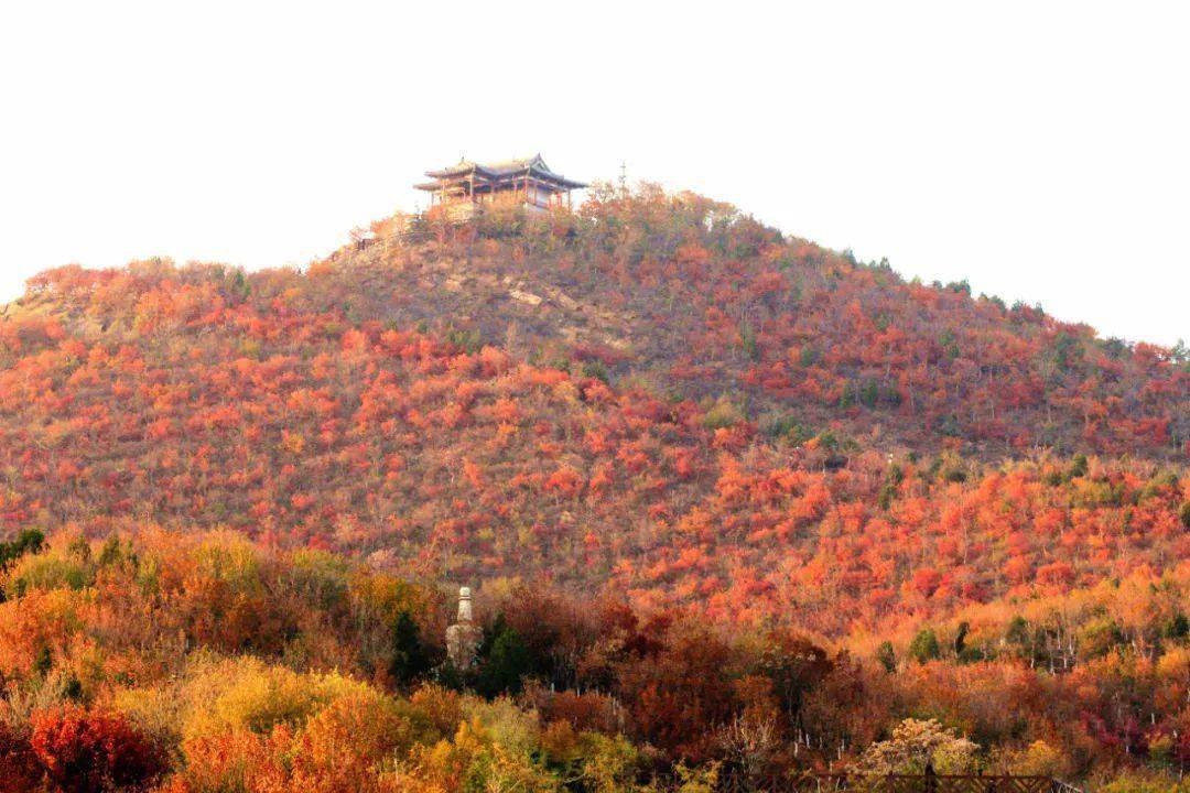 香山週末人多?重點提醒圈起來!北京還有這些賞秋打卡點