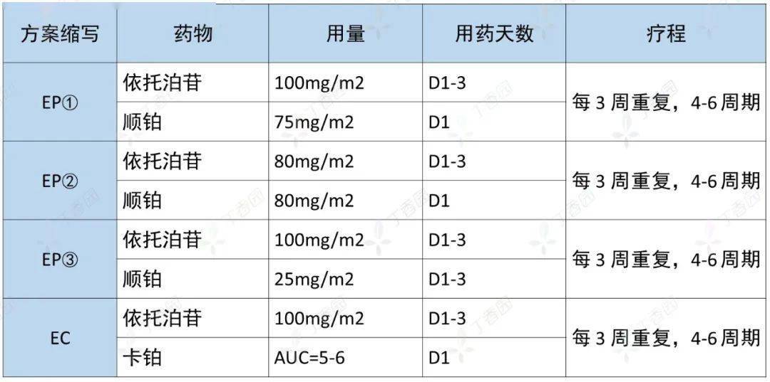 依托泊苷用法用量图片