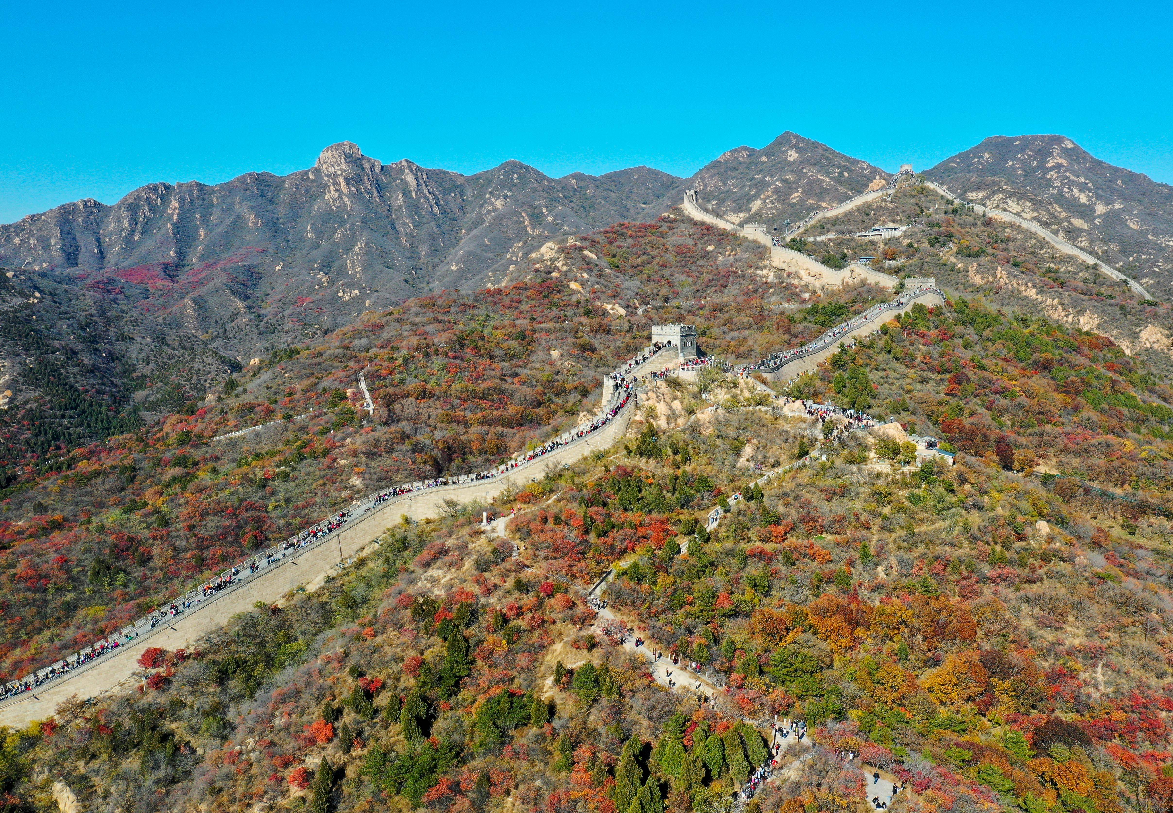 八达岭长城枫叶图片图片