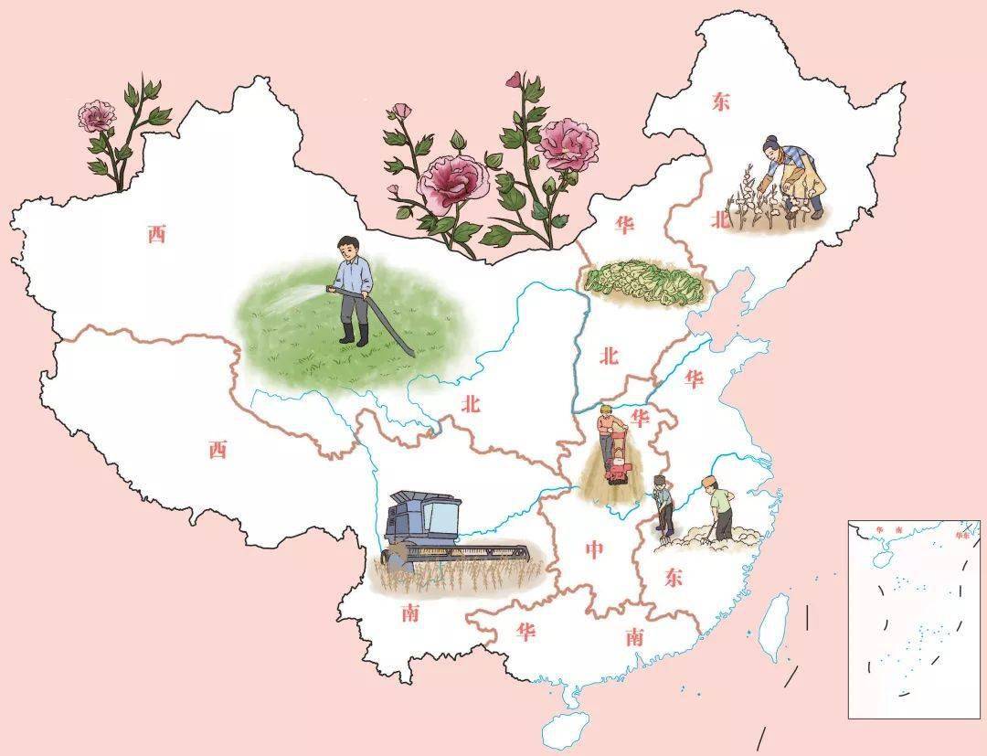 霜降| 气肃而凝, 露结为霜_桑叶