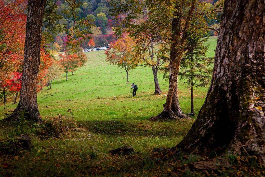 秋天的童话之溪谷风景区