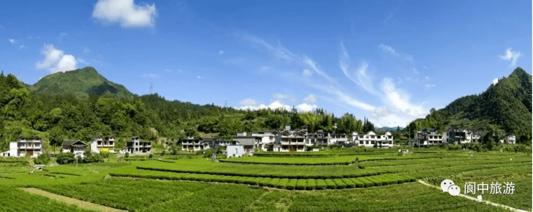 阆中彭城望垭的老乡速看已正式启动实施