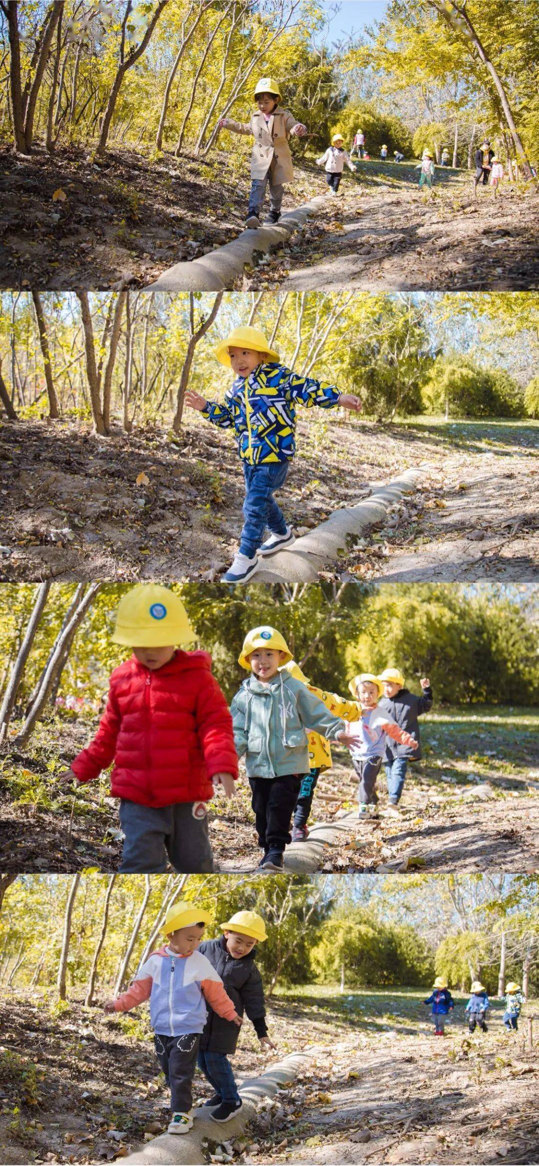 艾利芬特幼儿园自然教育之森林公园户外探索之行