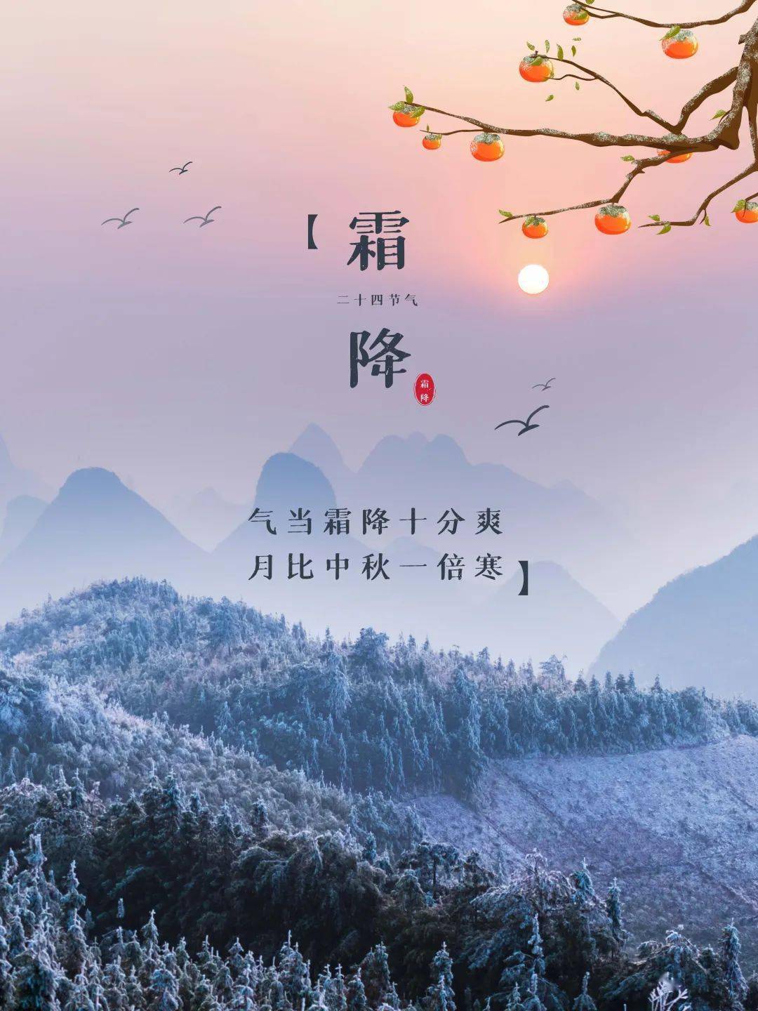 寒霜冬将至 | 亚丁美好正当时