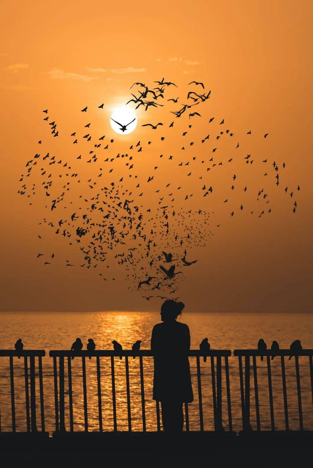 67主动得不到回应就离开,死乞白赖求来的是伤害_连晚风