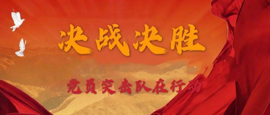 决战决胜丨党员突击队在行动!