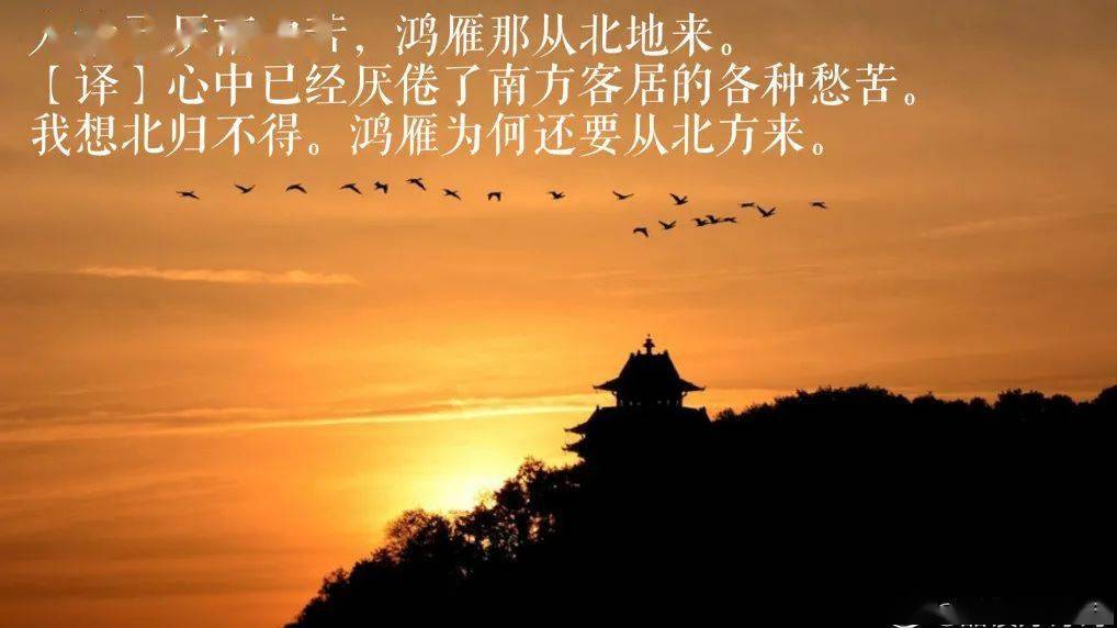 "九月九日望乡台",点明了时间——重阳节,地点——玄武山(此处将玄武