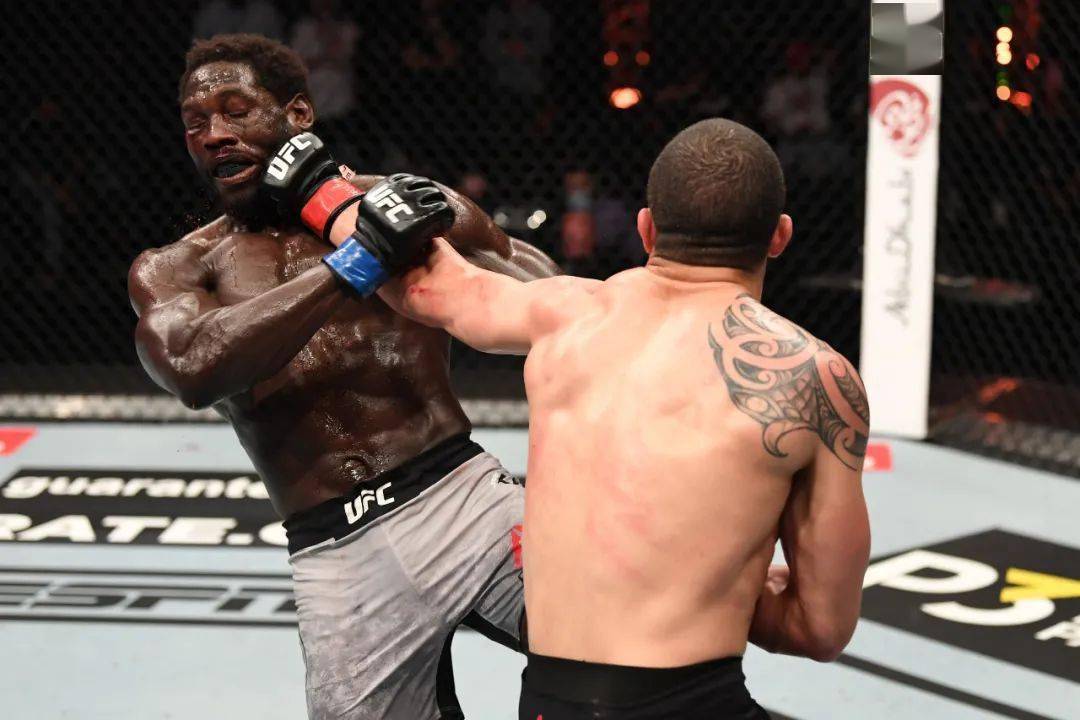 不败"鹰王",铸就神话:哈比布达成29胜0负,宣布退役_手机搜狐网