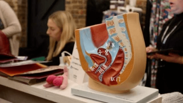 超全产后女人私密部位恢复与保养方法大全一胎二胎都是这样过来的