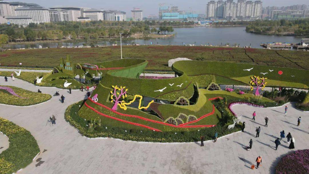 这里的大型菊花造型景观开封市民广场对所有人免费开放,数万人前来赏