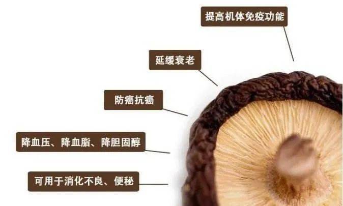 吃药一筐不如香菇一朵!买香菇首选耀州香菇