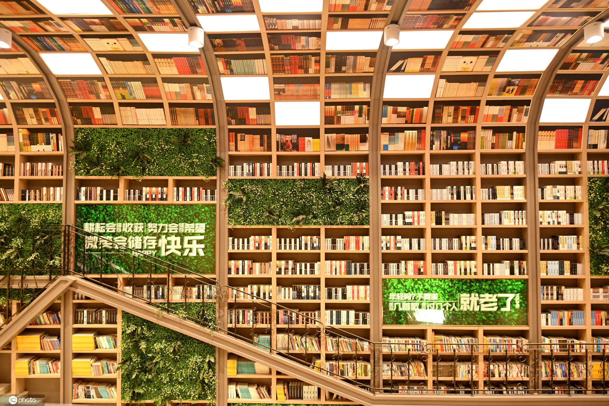 与屋顶相接的书柜,如同一片茂密的书籍丛林.