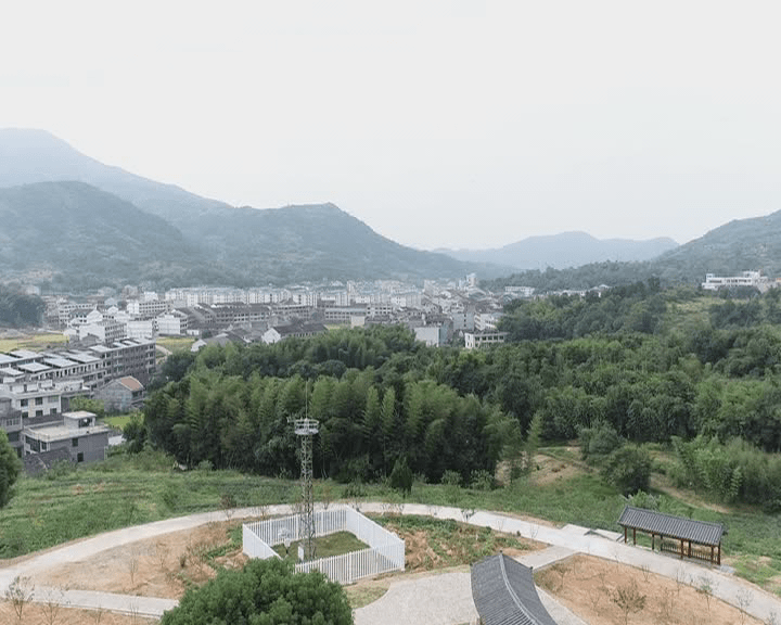 苍南树王原来在这个村!高16米,有900多岁_南宋村