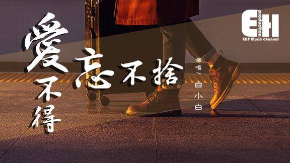 白小白爱不得忘不舍超高无损音质动态歌词lyrics