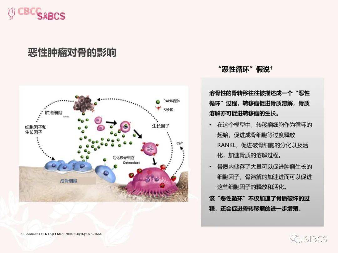 乳腺癌骨转移治疗新希望——地舒单抗