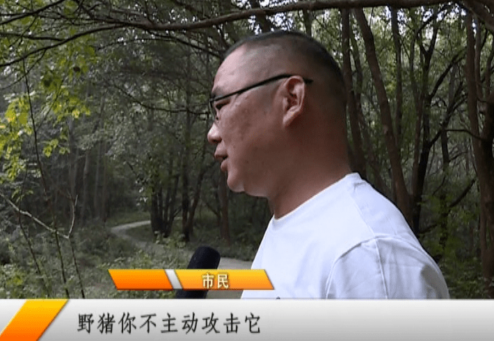 (公園設置了喇叭循環提醒)在最初發現疑似野豬出沒後,公園的管理方