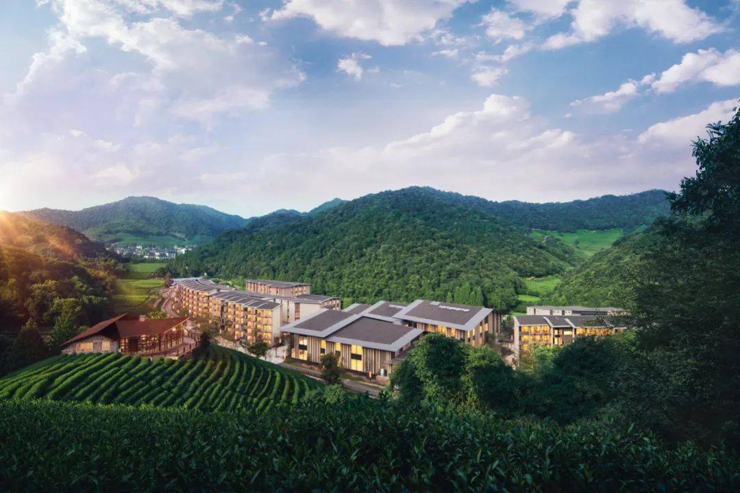 龙坞大清谷养老社区惊艳开业美丽城镇再添新色彩67