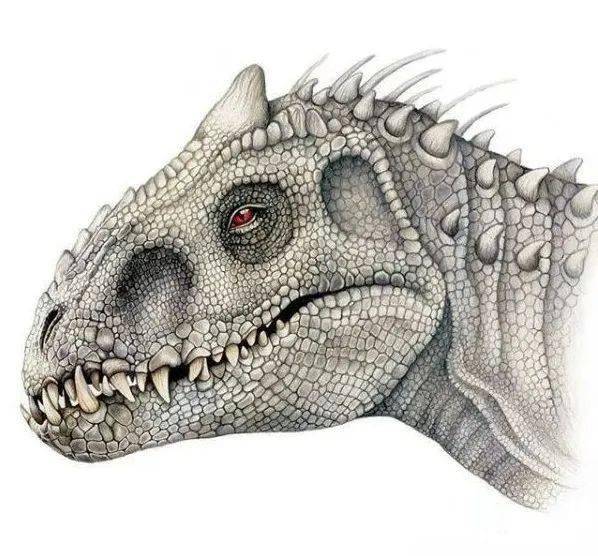 插画作品彩铅手绘逼真的恐龙