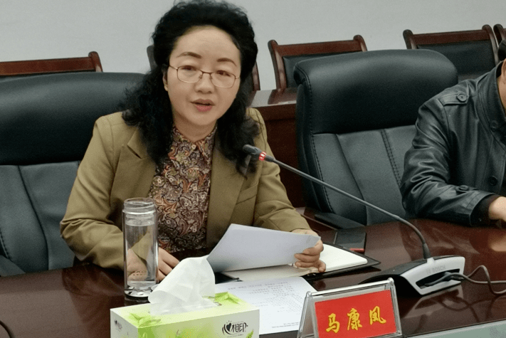 绥江县委副书记,县长马康凤向两镇代表团介绍了绥江脱贫攻坚和东西