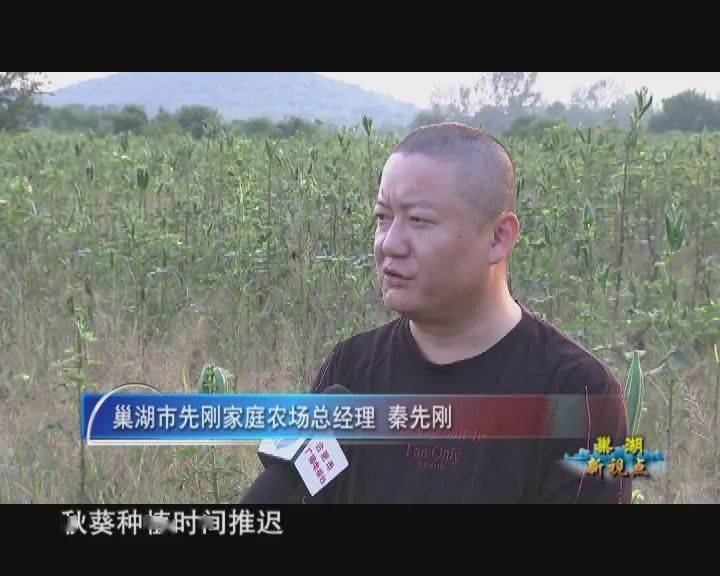 【巢湖新视点】 以秋补夏保增收 稳固脱贫奔小康_汪国良