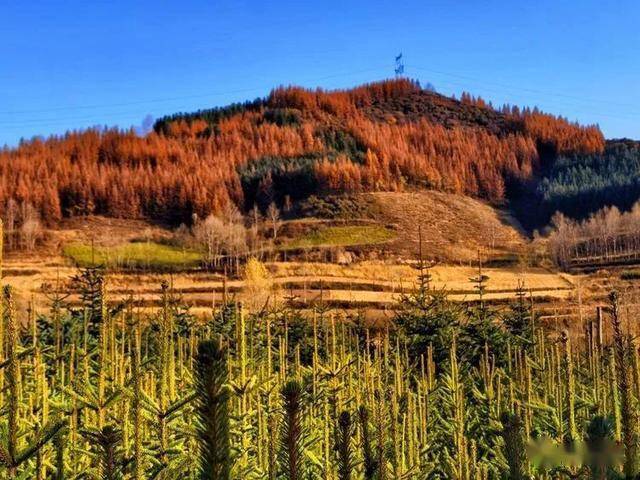 大通县塔尔镇塔尔沟秋景 摄影/王生奎