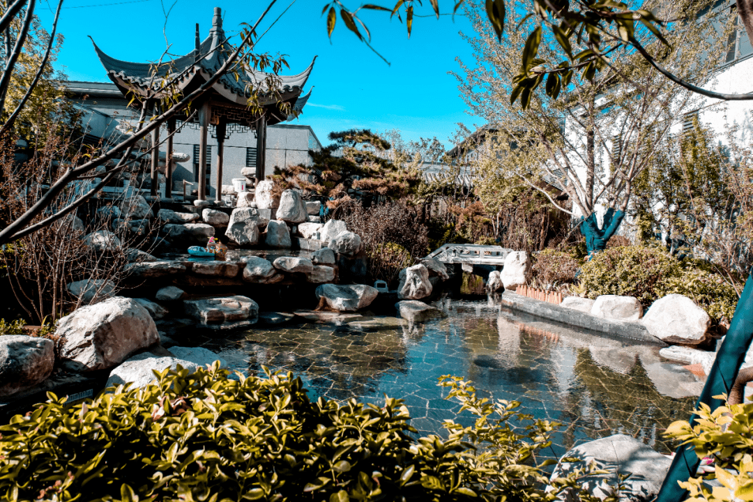 "真温泉"桃李春风泊心堂中医药温泉水取自地下3000.