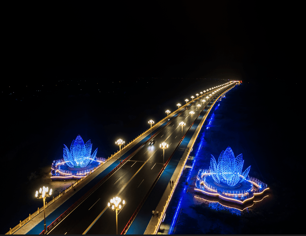 雷士照明案例品鉴兴化市长安北路的灯光画卷