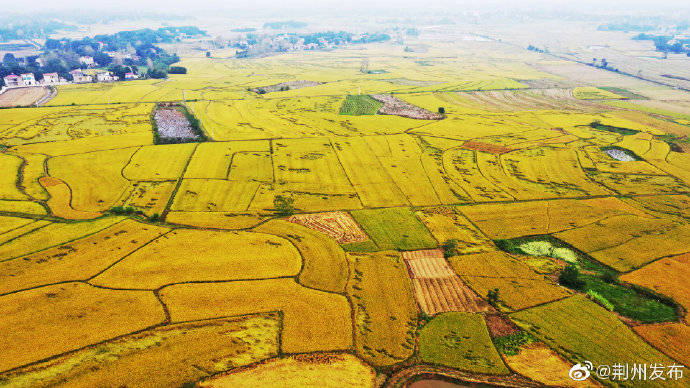 "高产田"铺就致富路,公安县孟家溪镇高标准农田探访