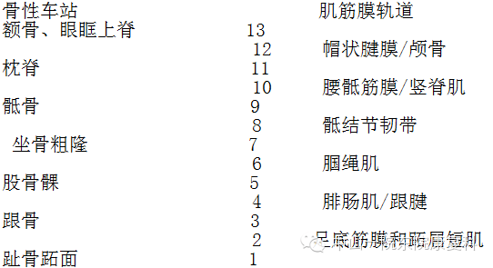 解剖列车人体12条筋膜链解析及具体手法操作_手机搜狐网