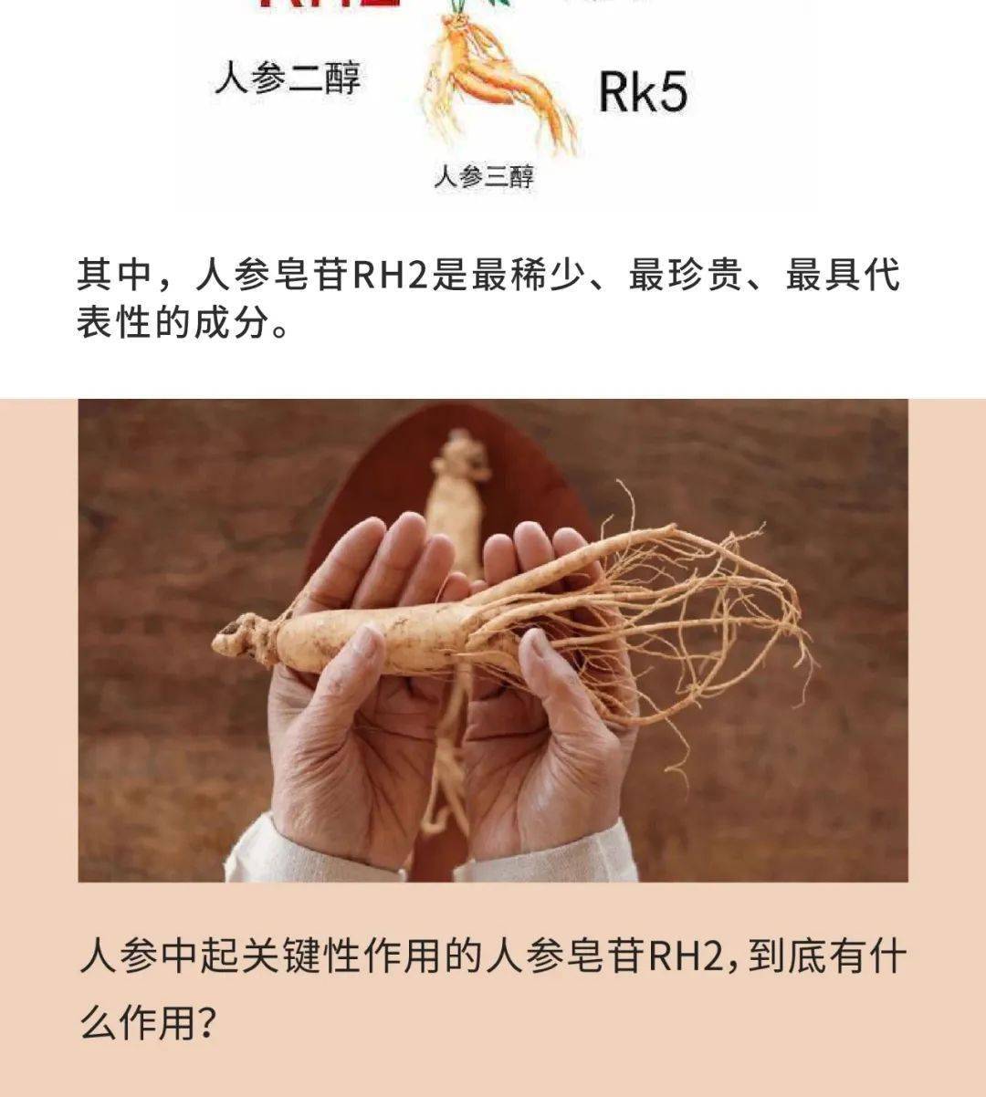 揭秘人参皂苷rh2下篇