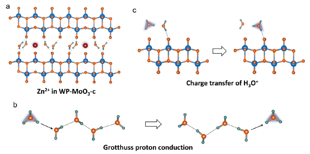 锌的离子结构示意图图片