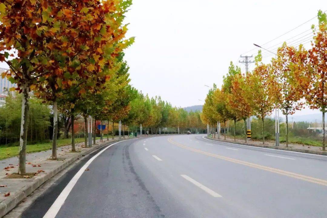 竹溪有条路一到秋天就美成一幅画