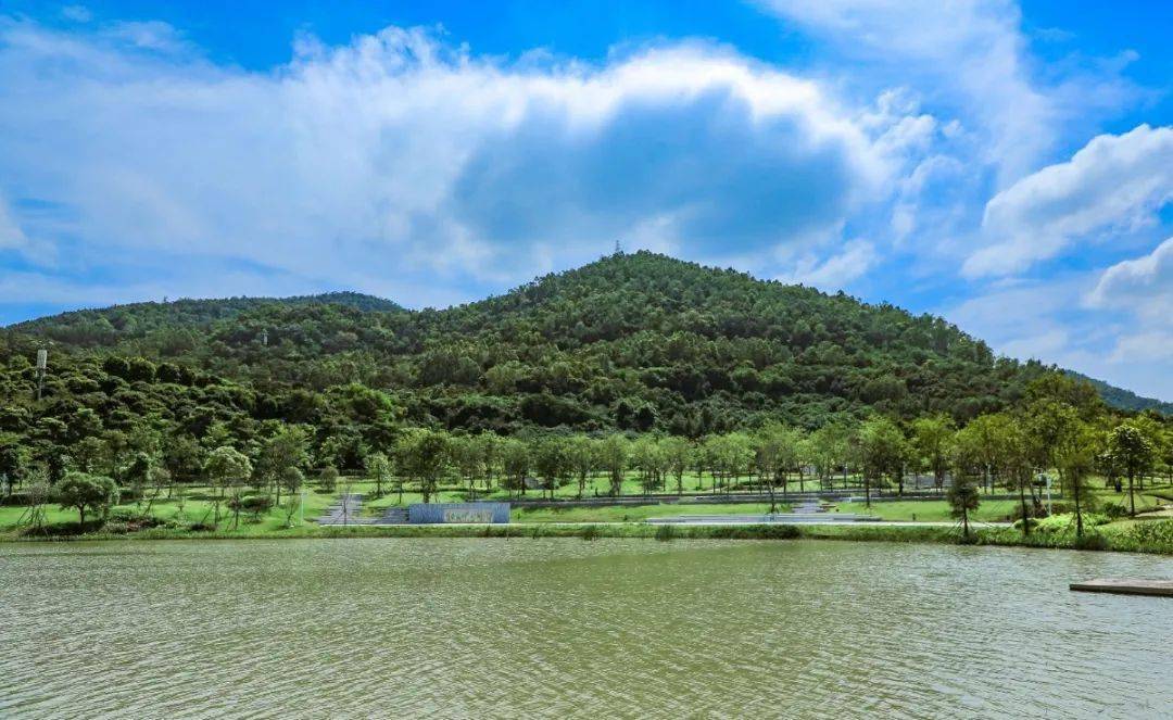 首次曝光720全景身临其境带你漫游宝安人才林公园